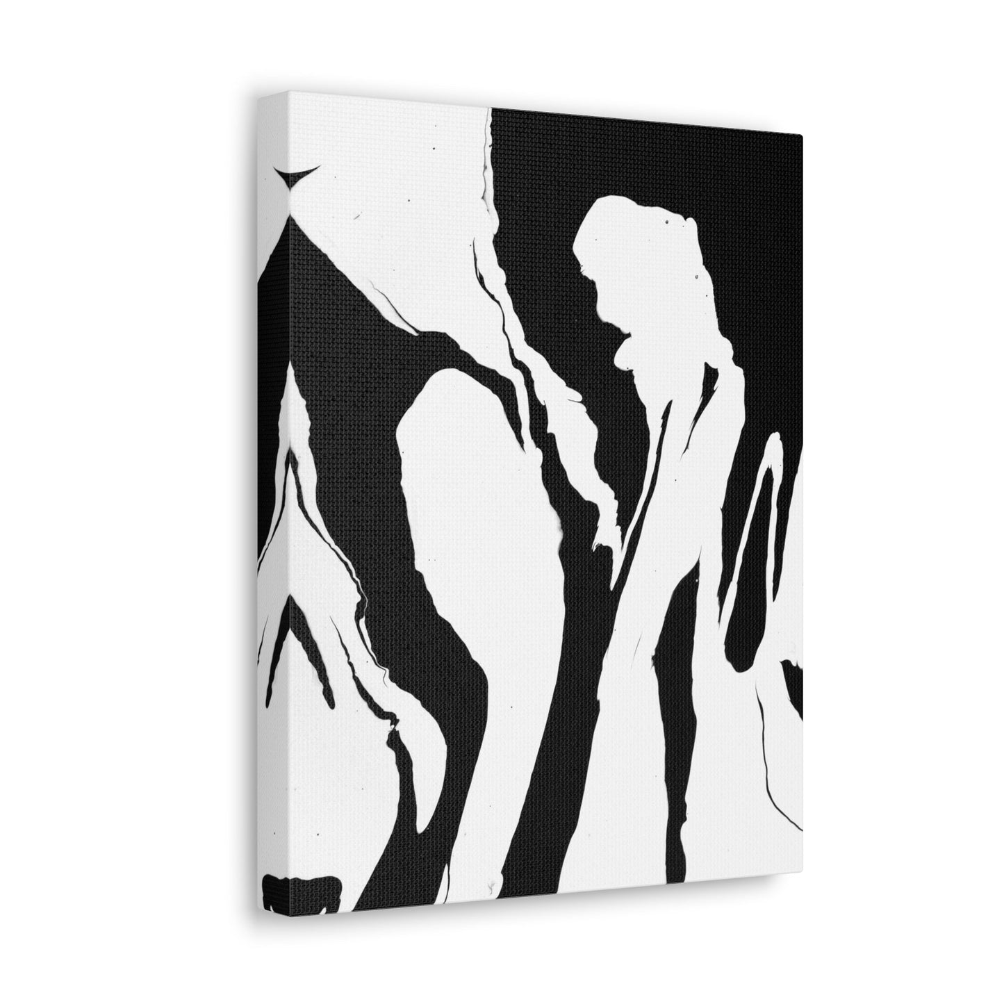 Positive and Negative - Gallery Wrapped Canvas